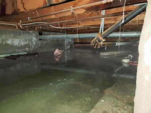 Best Residential Water Damage Restoration in Alcoa, TN