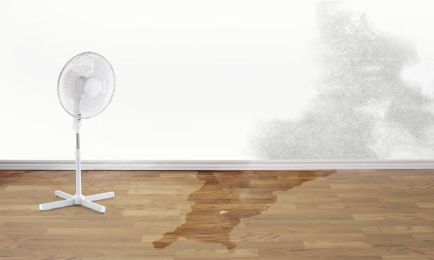 Best Wood Floor Water Damage Restoration in Alcoa, TN